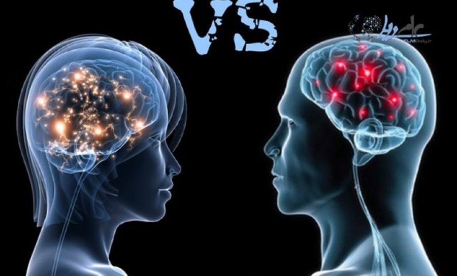 تفاوت‌های زن و مرد