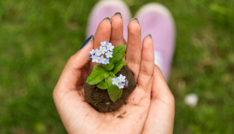 خوشبختی چیست